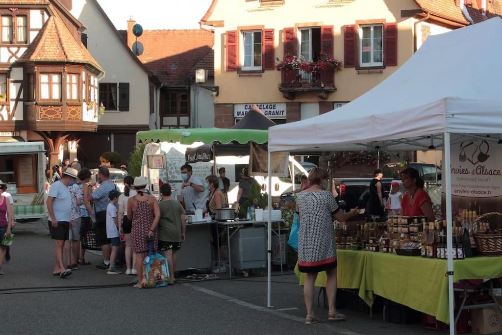 Ville Centre - Gite Le Villois - Au Coeur De L'Alsace ภายนอก รูปภาพ