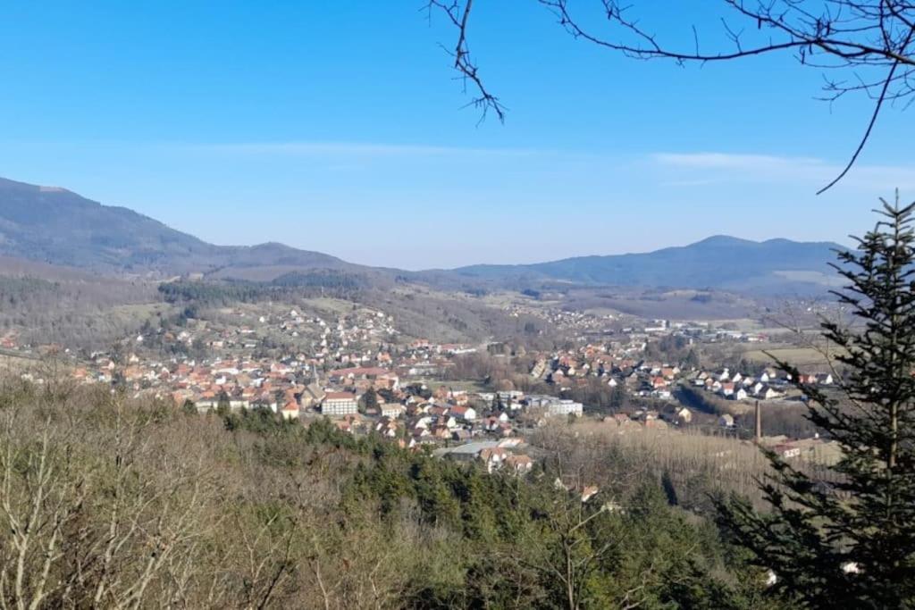 Ville Centre - Gite Le Villois - Au Coeur De L'Alsace ภายนอก รูปภาพ