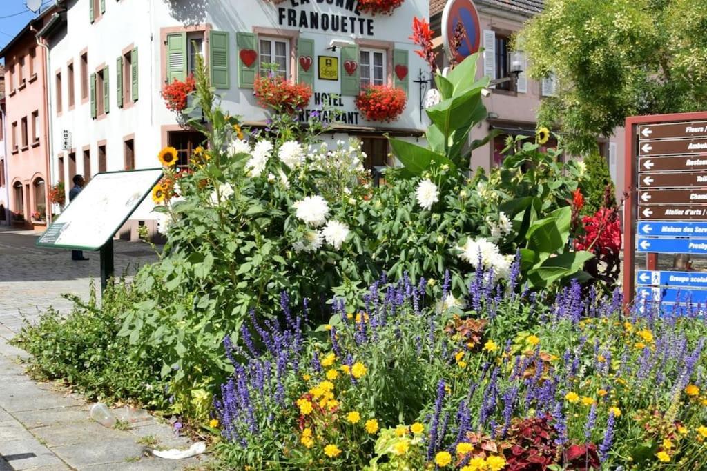 Ville Centre - Gite Le Villois - Au Coeur De L'Alsace ภายนอก รูปภาพ