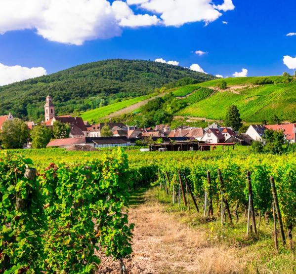 Ville Centre - Gite Le Villois - Au Coeur De L'Alsace ภายนอก รูปภาพ