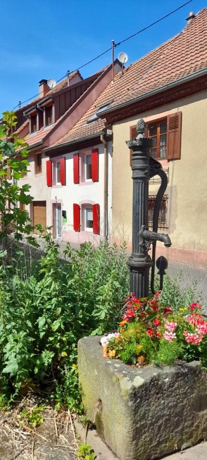 Ville Centre - Gite Le Villois - Au Coeur De L'Alsace ภายนอก รูปภาพ